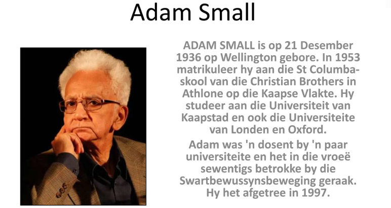 School: Doemanie deur Adam Small