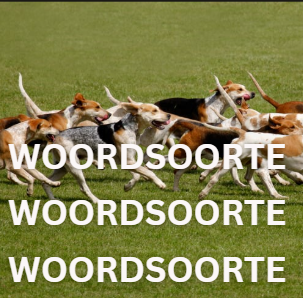 Afrikaans: Woordsoorte