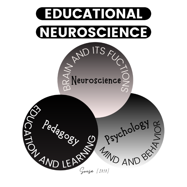T Course: Educational Neuroscience, NLP and VAK